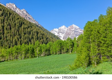 Maroon Bells And Aspen Grove In Summer