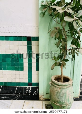 Marrakech Interior, pool and tiles