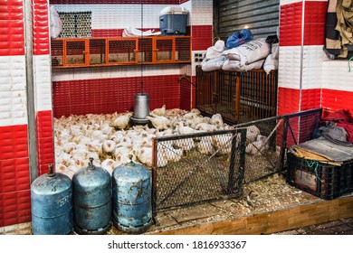 Marrakech, Morocco - 23 DECEMBER 2019:Covered Wet Market With Live Animals And Chicken Farming In Medina