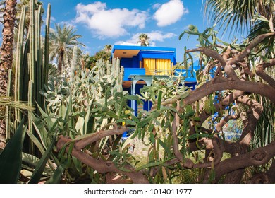 Marrakesch Jardin Majorelle