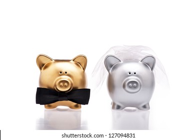 Marriage concept under the use of two cute pigs