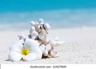 Beach Wedding Rings Images Stock Photos Vectors Shutterstock