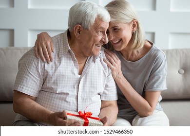 Married Couple 50s And 70s Years Spouses Celebrating Life Event Sit On Couch Holding Gift Box, Adult Daughter Congratulates Old Dad With Fathers Day, Care Support, Attention Value Of Parents Concept