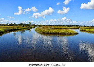 Marsh area in eastern Florida