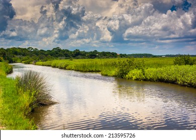 Marsh Area Of The Tomoka River, At Tomoka State Park, Florida.