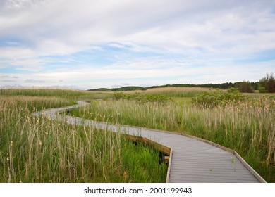 Marsh boardwalk trail in park cloudy day - Powered by Shutterstock