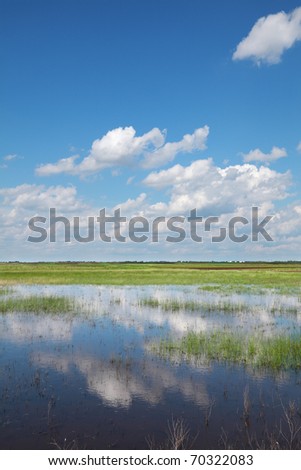 Marsh with cultivated land in background and beautiful sky