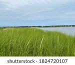 Marsh landscape at the beach - Cape Cod 