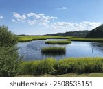 Marsh Landscape with Cloudscape and Reflection