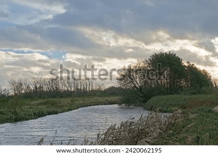 Marsh landscape with a creek and silhouette of trees against a cloudy sunset sky in the flemish countryside
