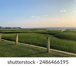 Marsh Landscape at Golden Hour