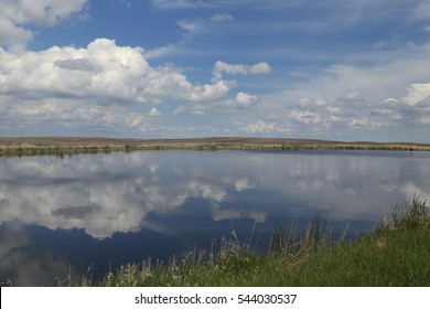 Marsh near Woodworth, North Dakota