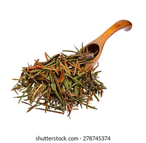 Marsh (Northern) Labrador Tea (Ledum Palustre) On The Wooden Spoon.