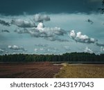 Marsh on a Cloudy day