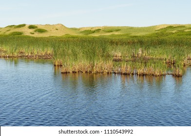 Marsh With Reeds In Front Of Parabolic Dunes At Greenwich, PEI