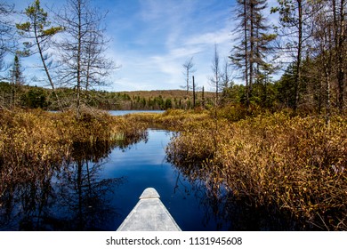 Marsh River View From Canoe