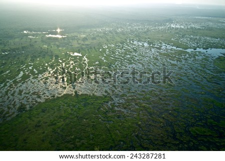 A marsh is shrouded in thin smoke from a nearby forest fire in Kakadu NP. Northern Territory, Australia.