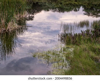 Marsh In Southeast Florida With Cloudy Sky Reflections