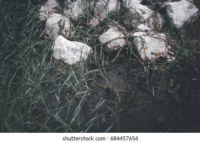 Marsh and stone