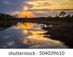 marsh at sunset
