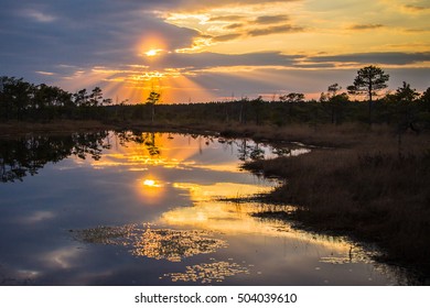 marsh at sunset