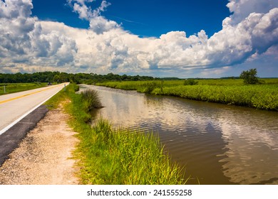 Marsh In Tomoka State Park, Florida.