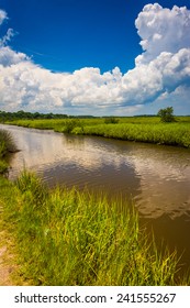 Marsh In Tomoka State Park, Florida.