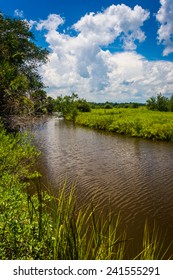 Marsh In Tomoka State Park, Florida.