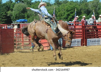 Marshfield, Massachusetts - June 24, 2012: A Rodeo Cowboy Riding A Bucking Bronco at the New England Wild West Fest. Cowboys came from around the country to compete in this professional rodeo.