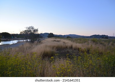 Marshland And Estuary River Off San Francisco Bay