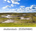 Marshland landscape with vivid blues and yellows.