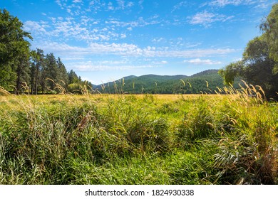 The Marshland And Mountains Near Liberty Lake State Park Near Spokane, Washington, USA