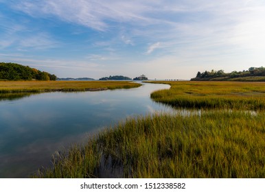 Marshland On The Long Island Coast Of Connecticut