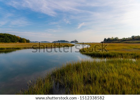 Marshland on the Long Island Coast of Connecticut