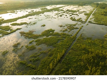 Marshland and Swamp landscape. Peatland in wet. Wild mire. East European swamps and Peat Bogs. Swampy land and wetland, marsh, bog. Mining peat. Wet mire after peat extraction. Bog on Flooded field. - Shutterstock ID 2178590907
