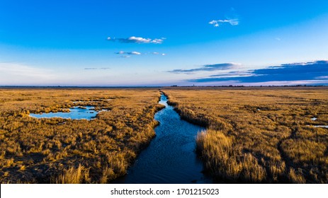 Marshland Trails In Long Island NY