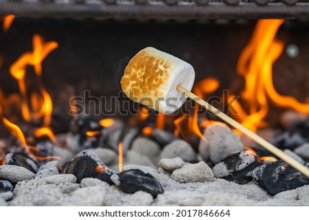 Marshmallow cooked on the fire. Marshmallow bbq. 