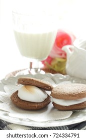 Marshmallow And Cookie Sandwich