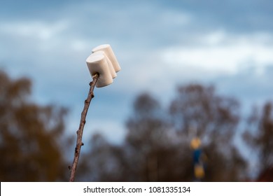 Marshmallow On A Stick 