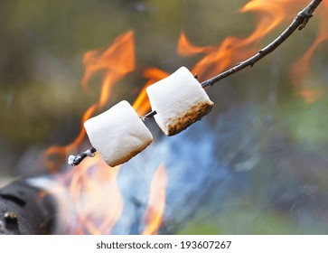 Marshmallow On Stick Roasted Over Camping Stock Photo Edit Now 195071555 Marshmallow On Stick Roasted Over Camping Stock Photo Edit Now 195071555
