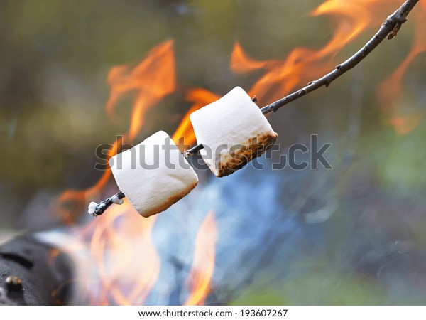 Marshmallow On Stick Roasted Over Camping Stock Photo 193607267 ...