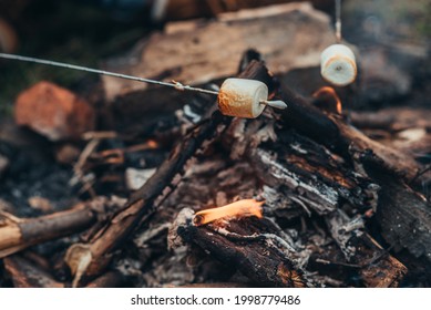 Marshmallows On A Stick Above Camp Fire While Some Young Campers Are Spending Time In Nature