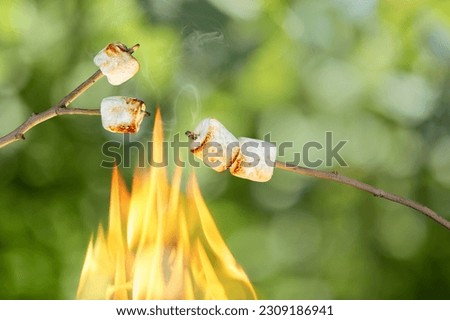 marshmallows on two wooden sticks toasting in fire with green blurred background