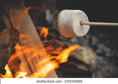 Marshmellow Over Fire