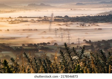 Marshwood Vale In The Morning Fog