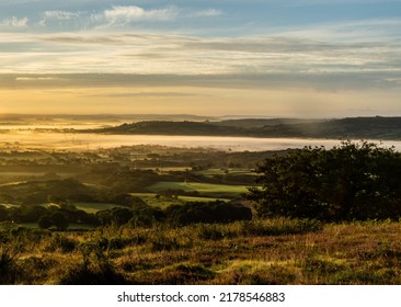 Marshwood Vale In The Morning Fog