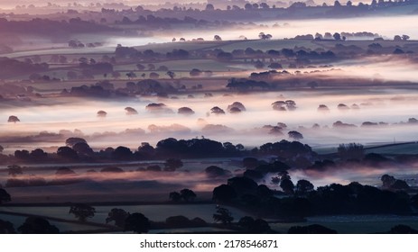 Marshwood Vale In The Morning Mist