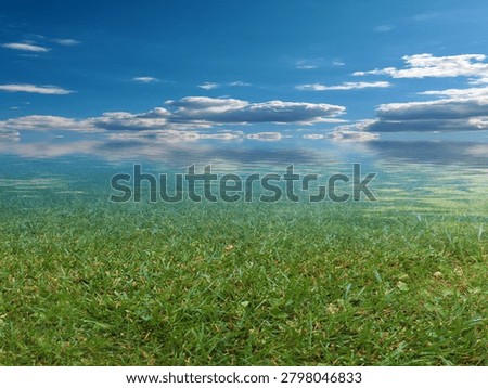 marshy area under a cloudy summer sky