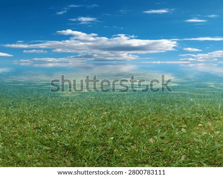 marshy area under a cloudy summer sky