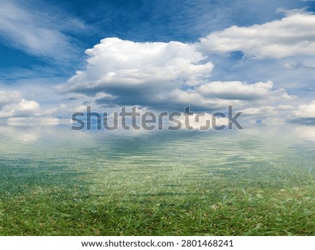 marshy area under a cloudy summer sky